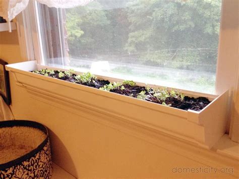 Fantastic Indoor Window Sill Planter Box References - Planter Ideas