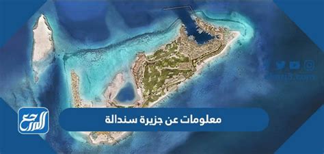 معلومات عن جزيرة سندالة بوابة السياحة في البحر الأحمر موقع المرجع