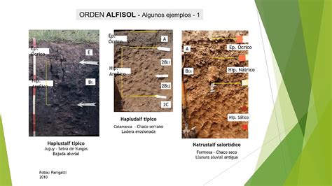 Pdf Clasificacion De Suelos Taxonomia De Suelos Dokumen Tips The Best