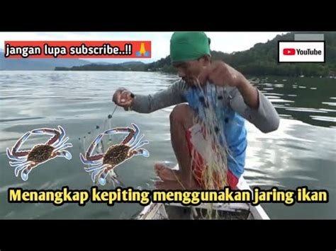 Proses Menangkap Kepiting Menggunakan Jaring Youtube