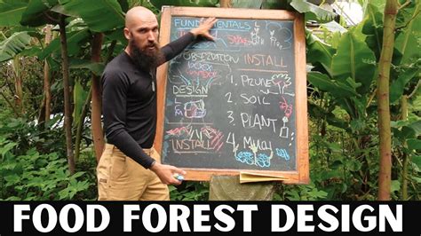 Complete Guide To Food Forest Design Installation Syntropic