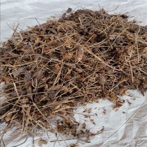 Brown Natural Pustak Husk Packaging Type Loose At Rs 50 Kg In Sonipat