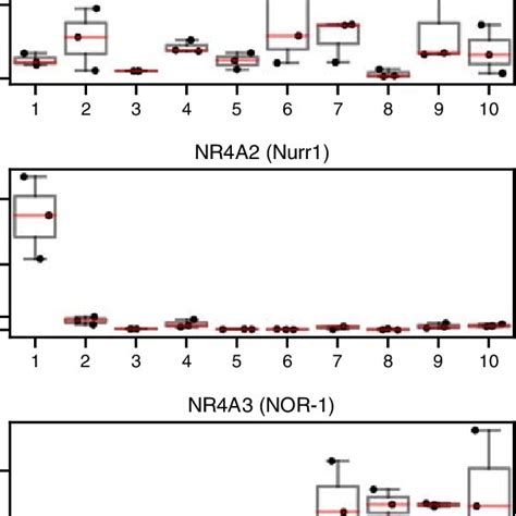 Relative Mrna Expression Of Nr A Nur Nr A Nurr And Nr A