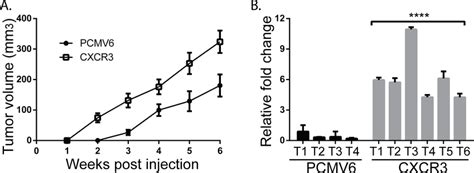 Ectopic Overexpression Of Cxcr3 On Bowes Rgp Cells Increases Tumor