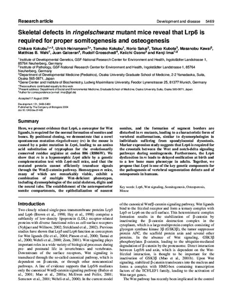 Pdf Skeletal Defects In Ringelschwanz Mutant Mice Reveal That Lrp6 Is