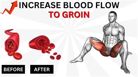 Increase Blood Flow To Groin Area YouTube