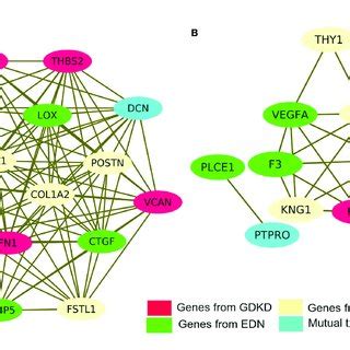 Protein Protein Interaction Ppi Network Of Degs And Module