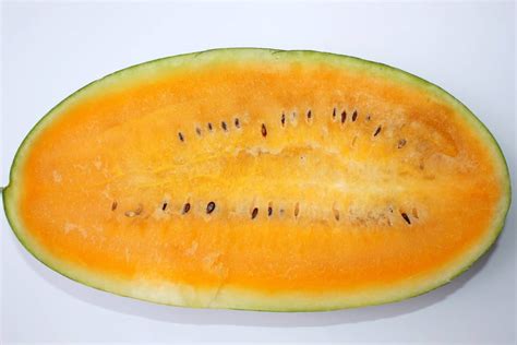 All About Orange Watermelons - Minneopa Orchards