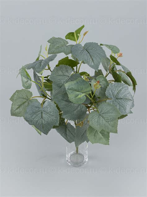 Куст Смородина | K-Decor