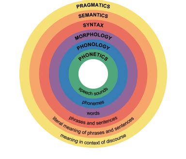 The Structure Of Language Atlantis Learning Network