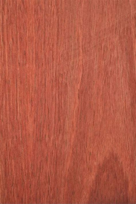 Mm Teak Pre Laminated Particle Board X Surface Finish Rustic At