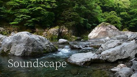 Soundscapenature Sounds River Sounds Relaxing Nature Sounds Youtube