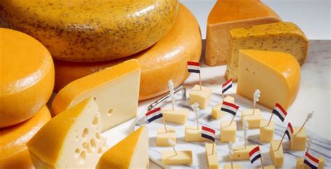 Dutch Cheese – An introduction to the most popular varieties – Gourmand Trotter