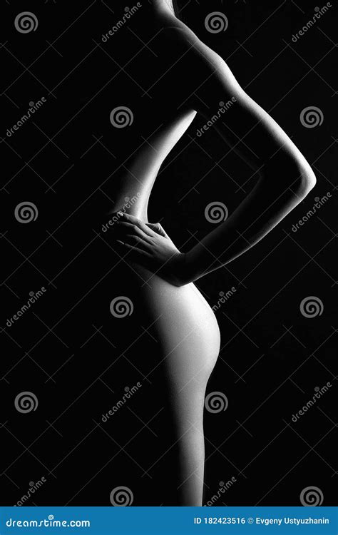 Black And White Female Nude Silhouette Naked Woman Stock Photo Image Of Perfect Ghost