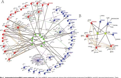 Figure 1 From Mir 29a B Enhances Cell Migration And Invasion In Nasopharyngeal Carcinoma