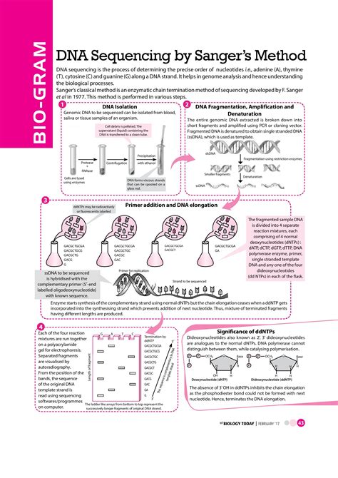 Dna Sequencing By Sanger S Method Vol Mtg Biology Today Artofit