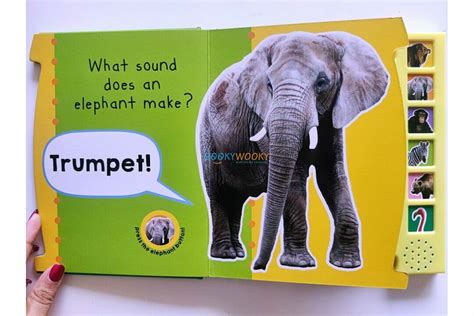 In the Wild an Animal Sounds Books – – Booky Wooky