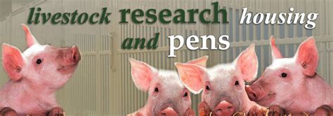 Livestock Research Cages Pens Metabolism Units