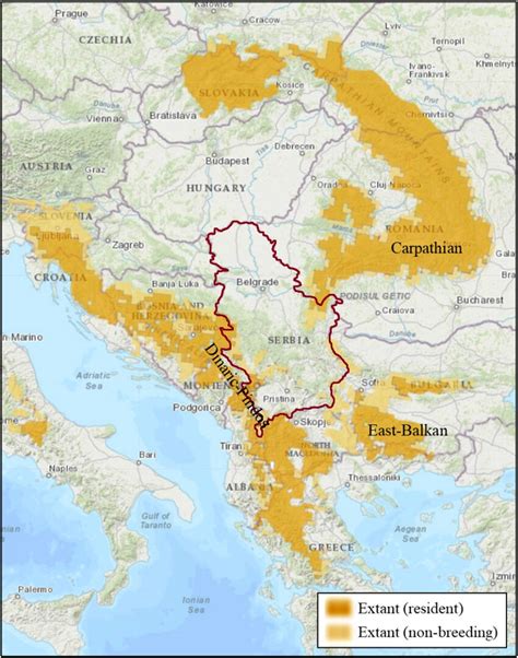 Distribution Range Of Brown Bear Metapopulations Carpathian