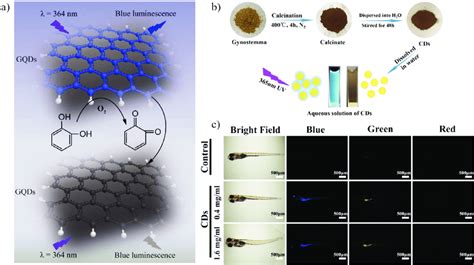 A The Fluorescence Quenching Of Graphene Quantum Dots By Catechins