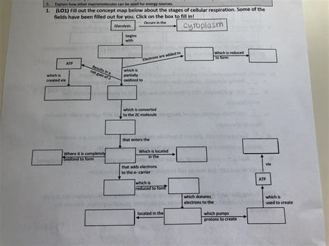 Macromolecules Concept Map Answers Oconto County Plat Map