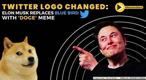 Twitter Logo Changed Elon Musk Replaces Blue Bird With Doge Meme