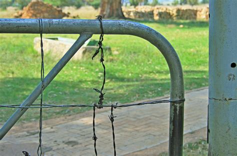 Farm Gate With Barbed Wire Free Stock Photo Public Domain Pictures