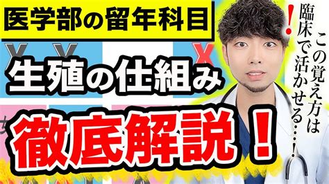 【動画で学習生殖の仕組み】医学生が試験対策で教科書使うのはもう古いです。動画で現役医師が徹底解説します。 Youtube