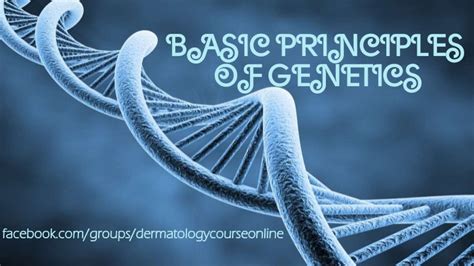 Basic Principles Of Genetics