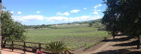 Sicily Wine Tour - Come and Join Us! - Unique Wine Safaris