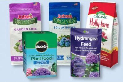 6 Best Hydrangea Fertilizers Reviewed + How To Use Them