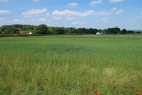 Field By Royston Lane Hugh Venables Cc By Sa Geograph Britain