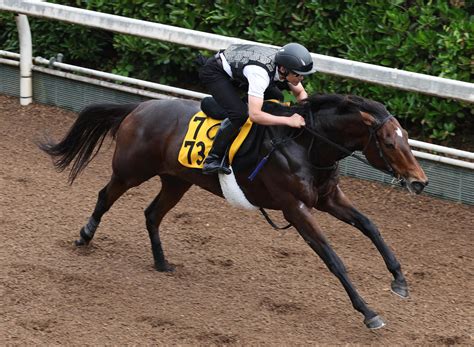 【毎日ベスト3】明神記者が選ぶ 北九州記念・栗東追い切りベスト3 毎日ベスト3 競馬コラム写真ニュース 日刊スポーツ