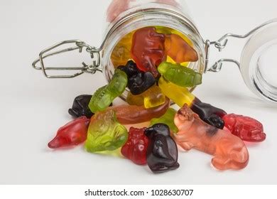 Gummy Lion: Over 16 Royalty-Free Licensable Stock Photos | Shutterstock