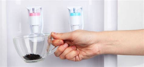 3 Pasos Para Saber Cómo Limpiar Un Purificador De Agua