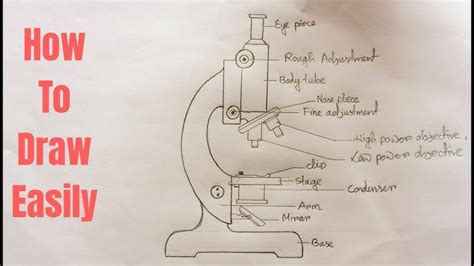 Simple Microscope Diagram And Functions