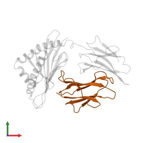 PDB 1a6z Gallery Protein Data Bank In Europe PDBe EMBL EBI