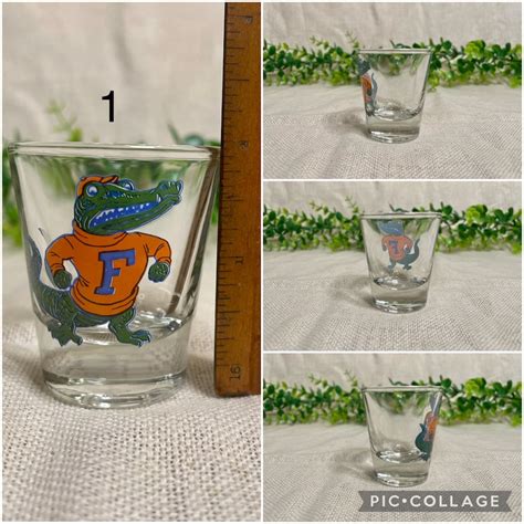 Vintage Florida Souvenir Travel Shot Glasses Florida Gators Etsy