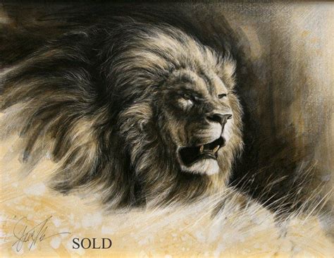 African Lion Drawing at GetDrawings | Free download