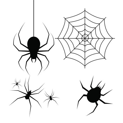 Spider Vector Design Illustration Isolated On White Background 1844016