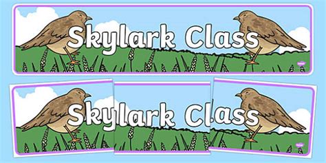 Skylark Class Display Banner Lehrer Gemacht Twinkl