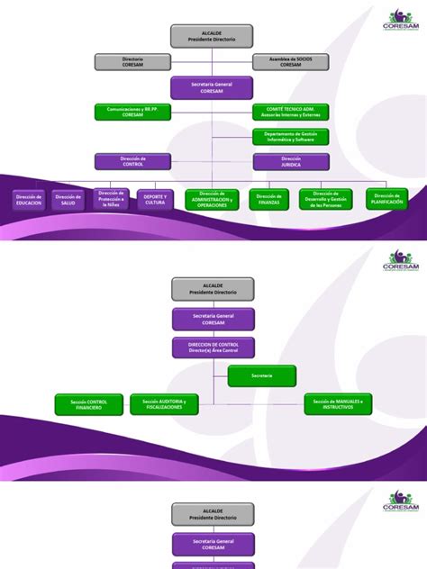 Organigrama Pdf Economias