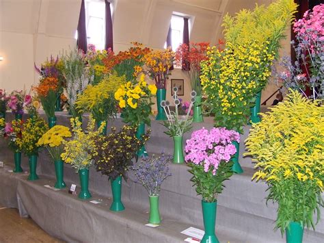 Cupar Flower Show Entries My Full Photo Archive Is On Flickr