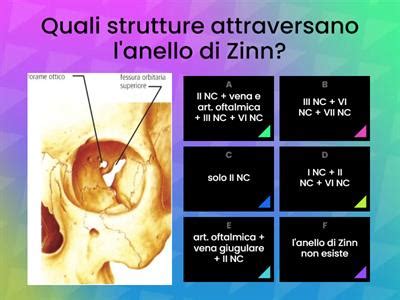 Riproduzione Umana Risorse Didattiche