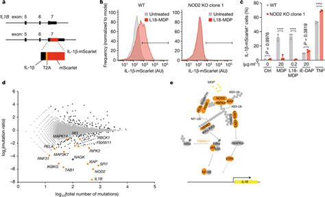 A Haploid Genetic Screen Reveals Regulators Of NOD2 A CRISPR