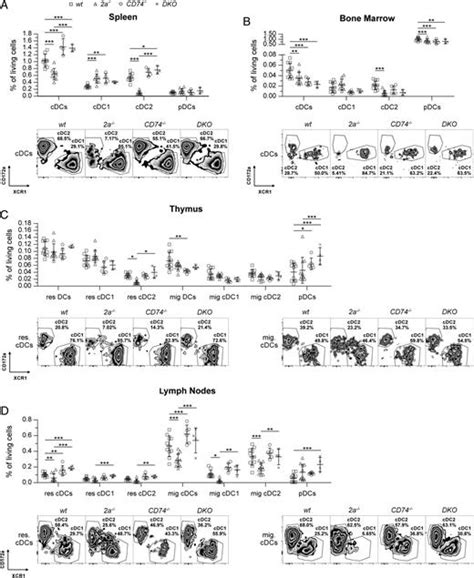 Deficiency Of The Intramembrane Protease Sppl2a Alters