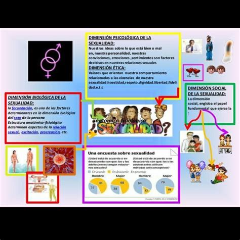 Elabora Una Infografía Sobre Las Dimensiones De La Sexualidad En Mi