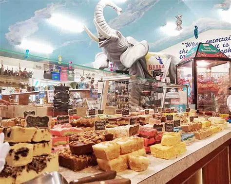 Mister Eds Elephant Museum And Candy Emporium