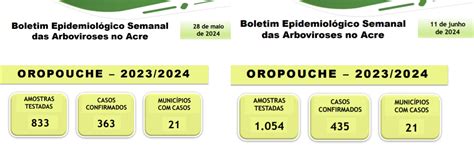 Em 15 Dias Acre Registra Mais De 70 Casos De Febre Oropouche Apenas