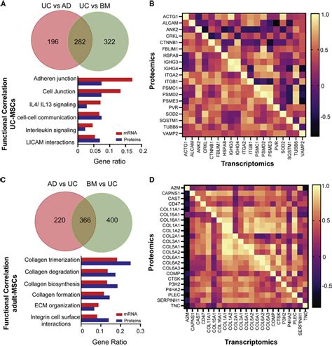 Functional Correlation Analysis Between Transcriptomics And Proteomics